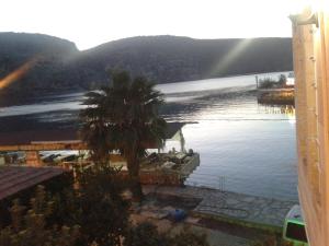 a view of a lake with a palm tree at Socrates Hotel Halfeti in Halfeti