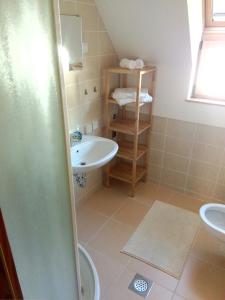 y baño con lavabo y aseo. en Apartment Ajda en Bovec