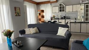 a living room with a couch and a table at rodou 39 apartment in Alexandroupoli
