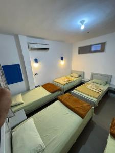 a group of four beds in a room at Balsam hotel in Dahab +23 photos