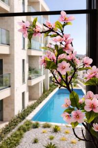 a tree with pink flowers next to a swimming pool at Olive apartments in Petrovac na Moru +66 photos