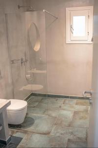 a bathroom with a glass shower and a toilet at Olive Tree Homes in Ios Chora +31 photos