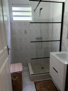 a bathroom with a shower and a sink at Mon petit coin de paradis in Morne-à-lʼEau