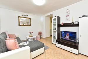 a living room with a couch and a flat screen tv at House Kanižela 2418 in Nova Vas