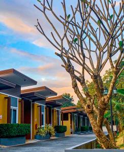 a row of houses with a tree in front at Seree Grand Resort in Hat Yai
