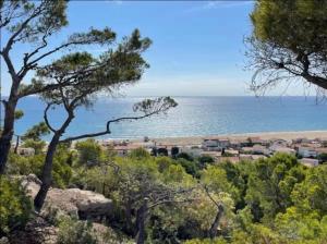 a view of the ocean from a hill with trees at Vue Mer - appartement de charme - accès direct plage in Leucate-Plage