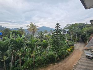 a view of a dirt road with palm trees at Hotel Blue Mount View Kandy in Kandy