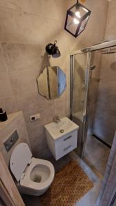 a bathroom with a toilet and a shower and a sink at Apartament nr 1 Pod Złotym Groniem in Istebna