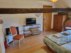 a bedroom with a bed and a tv and a chair at chambre d'hôtes vue sur jardin in Le Saint