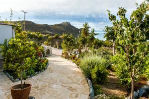 a garden with plants and trees and a pathway at Mythos Suites Diskos in Lentas