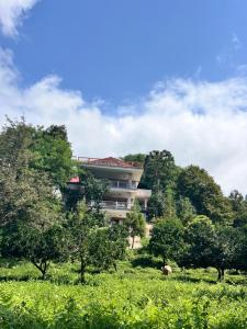 a building on the side of a hill with trees at Loidevilla in Çamurlu