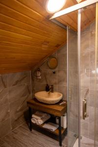 a bathroom with a sink and a shower at Loidevilla in Çamurlu