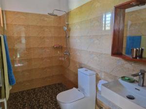 a bathroom with a toilet and a shower and a sink at Mango Lodge in Aluthgama +53 photos
