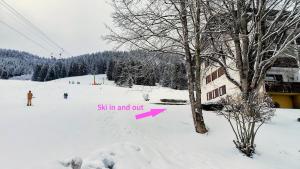 a person skiing in the snow with a pink arrow at Ferienwohnung Allgäuerle 1605 Ski in Ski out an der Skipiste mit Hallenbad Sauna und Tiefgarage in Missen-Wilhams