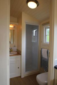 a bathroom with a shower with a toilet and a sink at Le Grande Roulotte in Hassocks