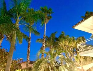a group of palm trees against a blue sky at Ara Town House in San Giovanni la Punta