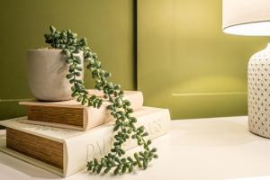 a plant on top of books on a table at The Leiston, 1 Valley Road in Leiston
