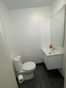 a white bathroom with a toilet and a sink at Laplanders room 13 in Kiruna