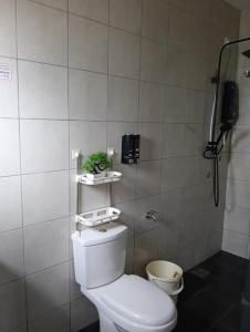 a bathroom with a toilet and a plant on a shelf at Seri Cempaka Homestay in Kluang +10 photos