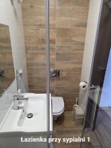 a bathroom with a sink and a toilet at Dom na Ubocy in Groń