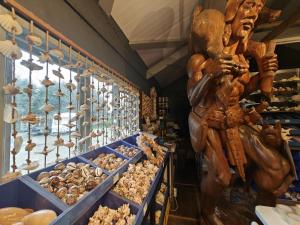 a store filled with lots of different types of shells at 1 Bed in Bude oc-s34846 in Bude
