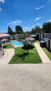 a tree in the grass next to a swimming pool at Crown Palace Guesthouse in Pretoria