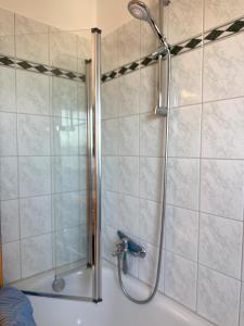 a shower with a glass door in a bathroom at Seewiefken 2 Dümmerblick in Lembruch +13 photos