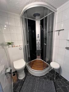 a bathroom with a shower with a toilet and a sink at Ferienwohnung Heyne in Weinböhla +15 photos