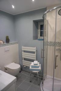 a bathroom with a toilet and a glass shower at Wohnung Burghaus 1 EG in Krummhörn +16 photos
