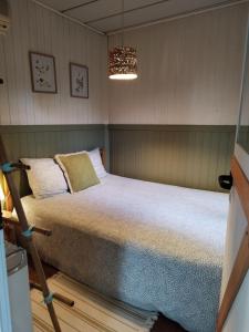 a bedroom with a large bed and a chandelier at Natura Tiny House Porto in Valongo