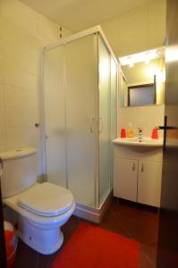 a bathroom with a toilet and a shower and a sink at GALANT apartments in Rovinj