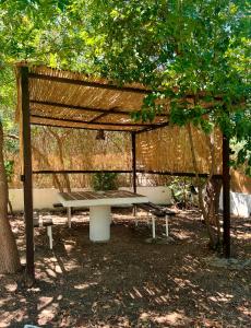 a bench under a tree with a roof at Thalassa Studios in Loutrá Kounoupélli +8 photos