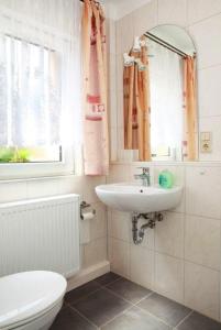 a bathroom with a sink and a toilet and a mirror at Ferienwohnung-Hoffmann-Harzgerode in Harzgerode
