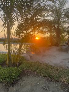 a sunset over a body of water with a palm tree at Club Positano Fundo Dell'Angelo in Mala +21 photos