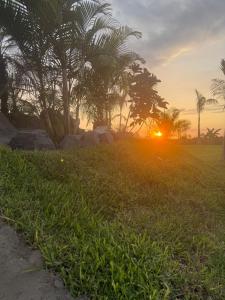 a sunset in a field with palm trees and grass at Club Positano Fundo Dell'Angelo in Mala