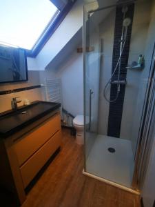 a bathroom with a shower with a sink and a toilet at Le studio in Pontchâteau