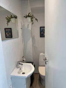 a bathroom with a sink and a toilet at Billund mini hostel room 3 in Billund