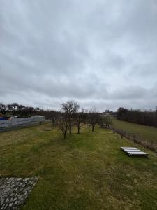 an empty field with trees in the grass at Chalupa POHÁDKA Moravský kras in Vavřinec