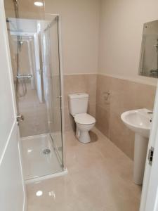 a bathroom with a shower and a toilet and a sink at The Patrick Lofts in Cork