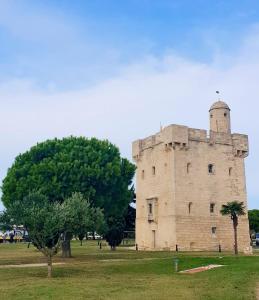 an old castle with a tree in front of it at Maison le Flamant in Port-Saint-Louis-du-Rhône