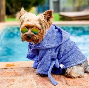 a small dog wearing a towel and sunglasses next to a swimming pool at Villa Ayê Socorro SP - Pousada Petfriendly in Socorro