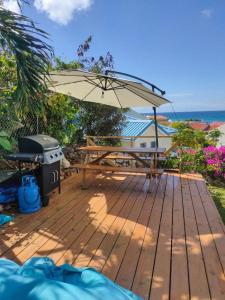 a picnic table with an umbrella and a grill at Blue Sail Rooms in Koolbaai
