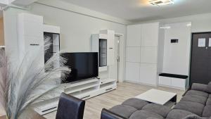 a living room with a couch and a flat screen tv at NORDIC Residence Apart Hotel in Suceava