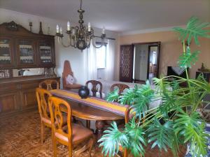 a dining room with a table and some plants at AFIFE "Porta da Alegria" in Viana do Castelo