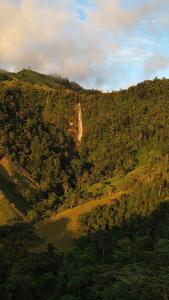 an aerial view of a mountain with trees at Vista cascada lodge in San Isidro de El General