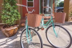 楠府的住宿－本雅酒店，一辆蓝色自行车停在两棵盆栽植物旁边