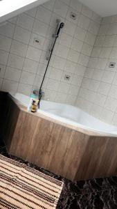 a bath tub in a bathroom with a shower at Castello Rosso Apartman in Pilisvörösvár +33 photos