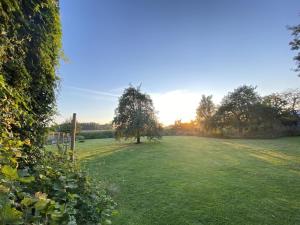 a field with a tree in the middle of a field at The BEE Garden in Lede