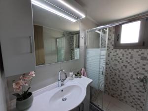 a bathroom with a sink and a mirror and a shower at Η Αυλή της Μαρίας in Áyios Thomás