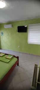 a room with a bed and a green wall at Apartman Tomas in Herceg-Novi +3 photos